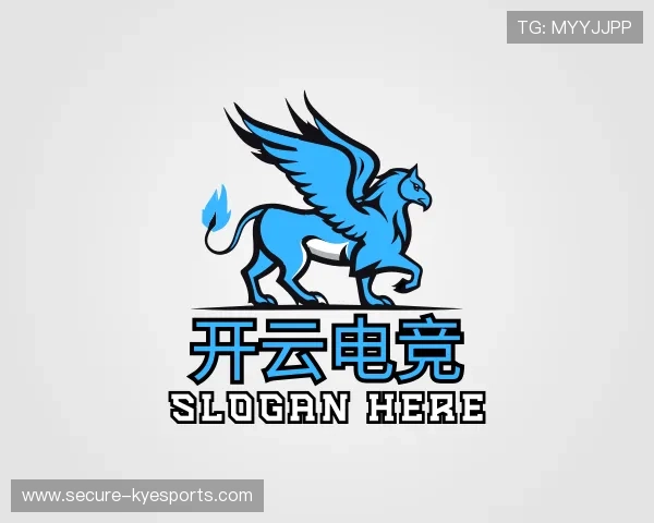 介绍开云电竞官网